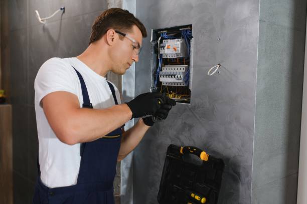 Best Electrician for Home Renovation  in College, AK